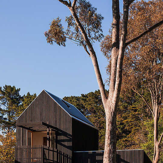 Interior photograph of The Apple House by Trevor Mein