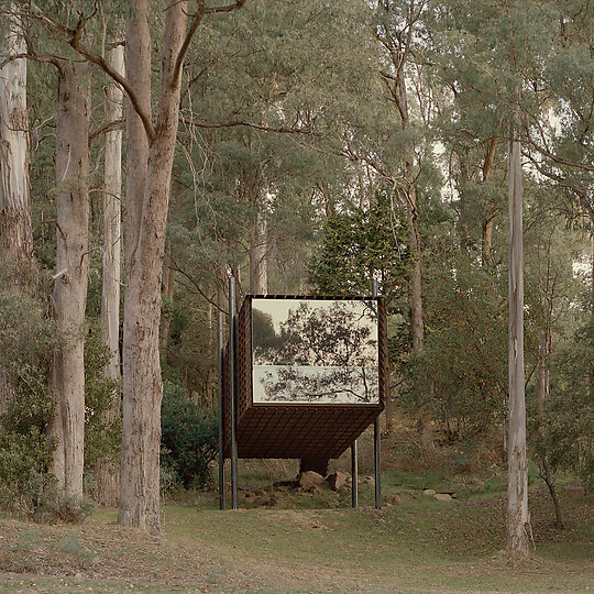 Interior photograph of sawmill treehouse by Tasha Tylee
