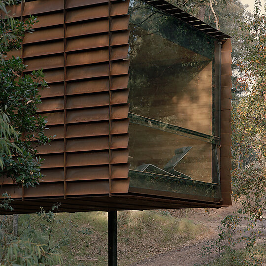 Interior photograph of sawmill treehouse by Tasha Tylee