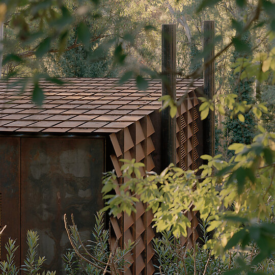 Interior photograph of sawmill treehouse by Tasha Tylee
