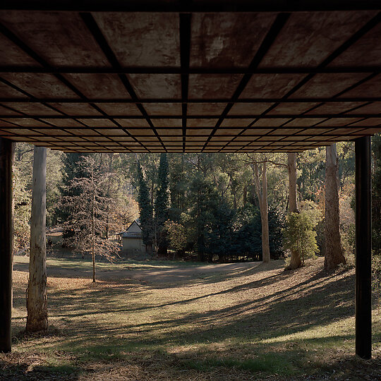 Interior photograph of sawmill treehouse by Tasha Tylee