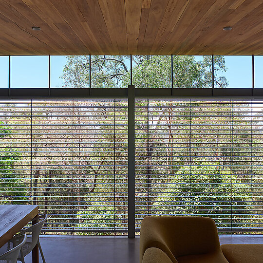 Interior photograph of Gold Creek by Christopher Frederick Jones