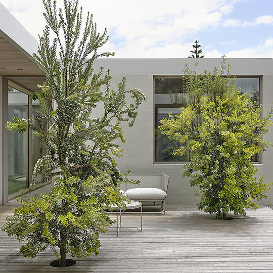Interior photograph of Coastal House by Derek Swalwell