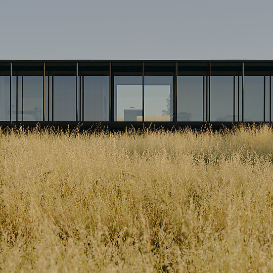 Interior photograph of Marraweeney by Tom Ross