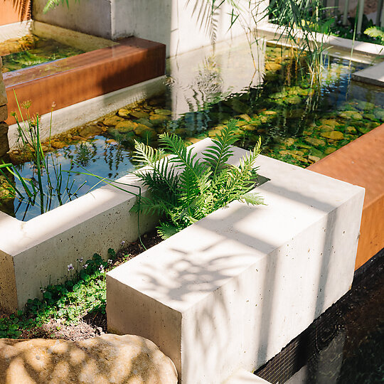 Interior photograph of Holocene House by Renata Dominik