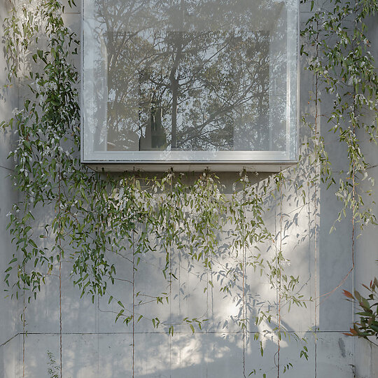 Interior photograph of Window, window, window by Hamish McIntosh