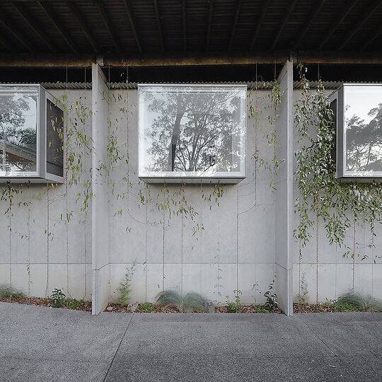 Interior photograph of Window, window, window by Hamish McIntosh