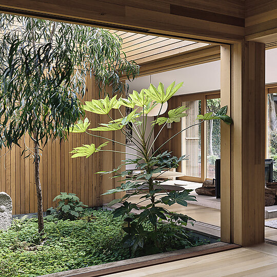 Interior photograph of Park St House by Derek Swalwell