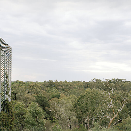 Interior photograph of Hedge and Arbour House by Rory Gardiner