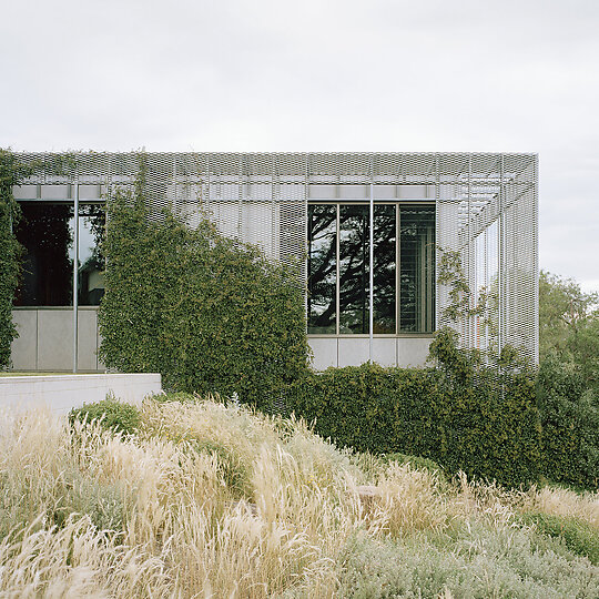 Interior photograph of Hedge and Arbour House by Rory Gardiner