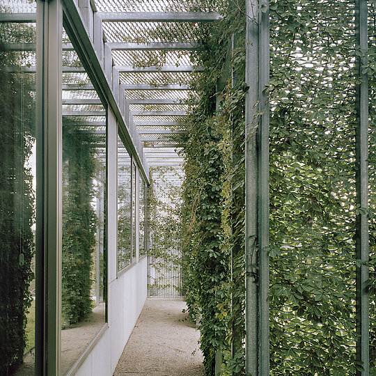 Interior photograph of Hedge and Arbour House by Rory Gardiner