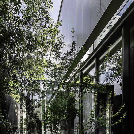 Interior photograph of Hawthorn House by Trevor Mein