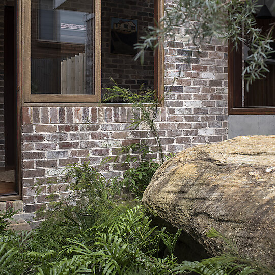Interior photograph of Re-wild House by Justin Aaron Studio