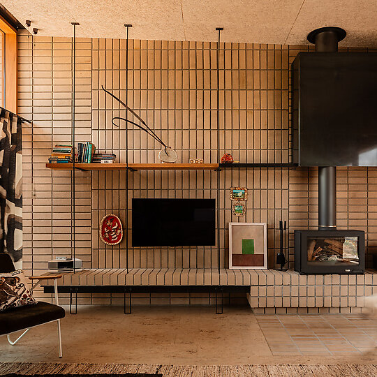 Interior photograph of she shells sea shells by Trevor Mein