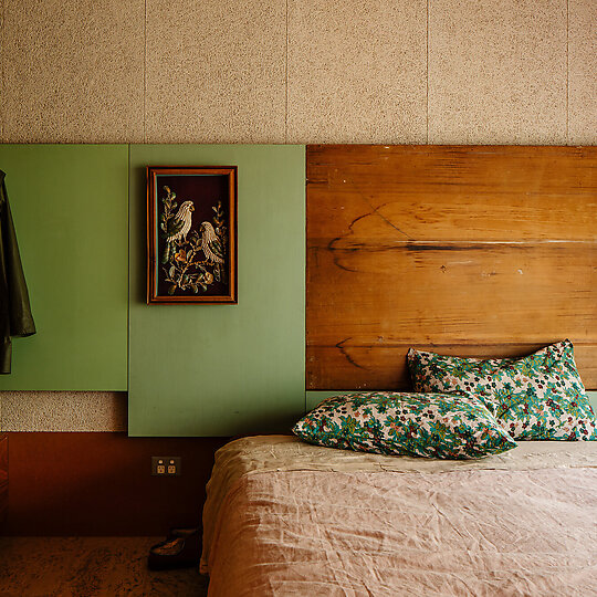 Interior photograph of she shells sea shells by Trevor Mein