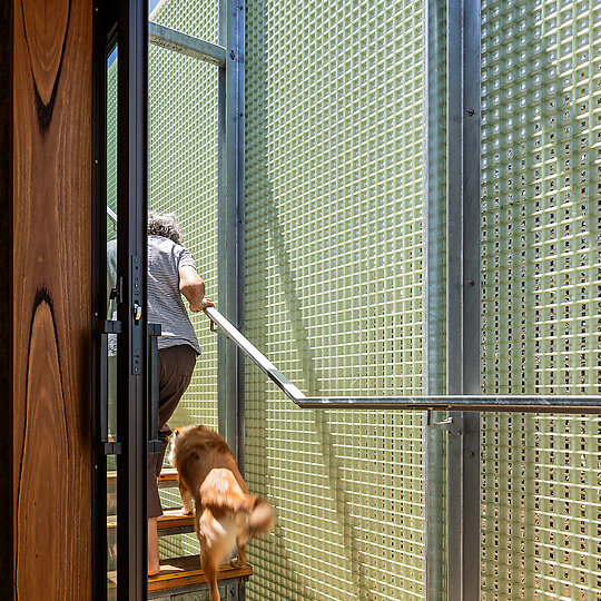 Interior photograph of she shells sea shells by Trevor Mein