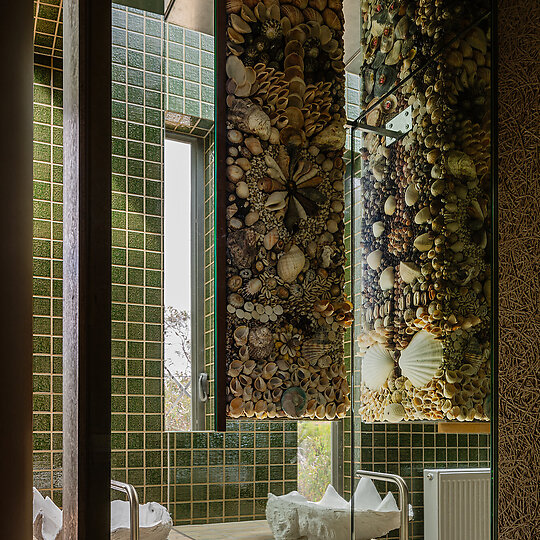 Interior photograph of she shells sea shells by Trevor Mein