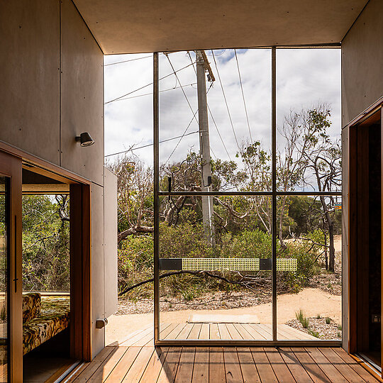 Interior photograph of she shells sea shells by Trevor Mein