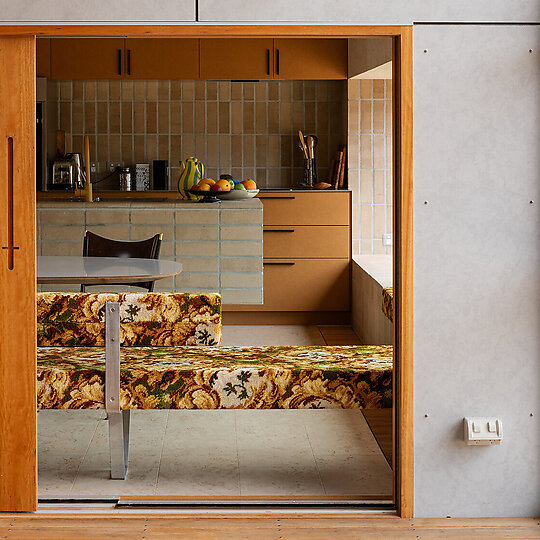 Interior photograph of she shells sea shells by Trevor Mein