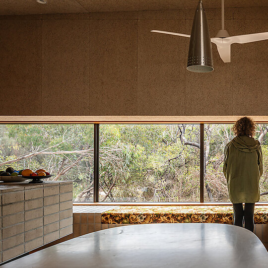 Interior photograph of she shells sea shells by Trevor Mein