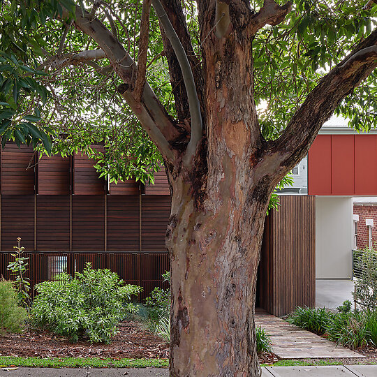 Interior photograph of Merewether Gully House by Christopher Frederick Jones