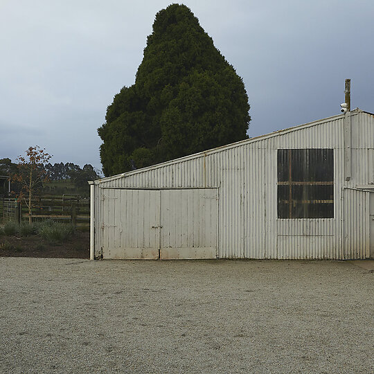 Interior photograph of Shady Creek by Dave Kulesza