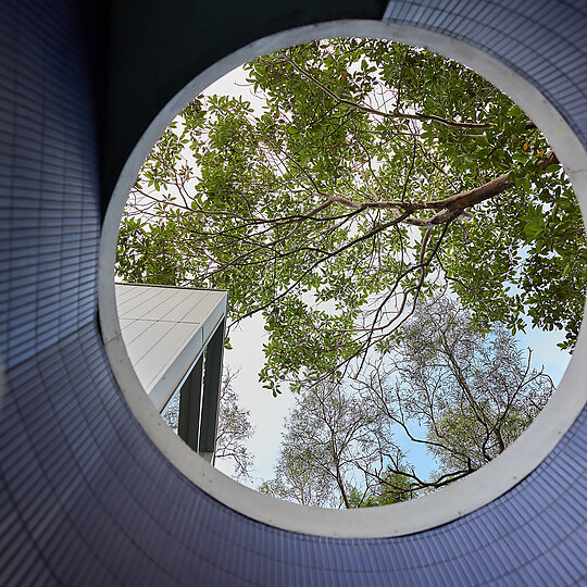 Interior photograph of Couldrey House by Cieran Murphy