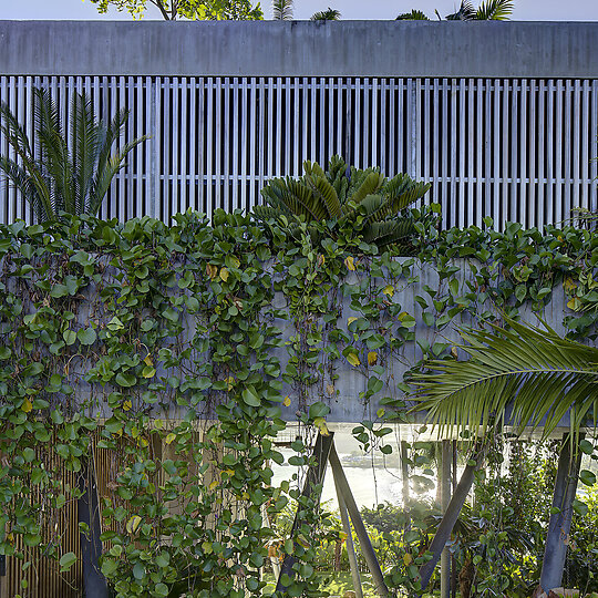 Interior photograph of Airlie Beach House by Brett Boardman